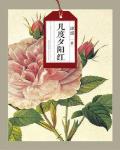 ����Ϧ����
