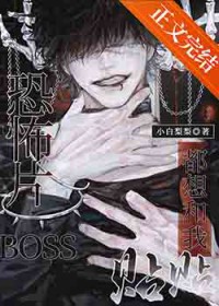 �ֲ�ƬBOSS�����������