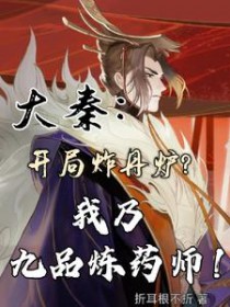 大秦开局炸丹炉，我乃九品炼药师