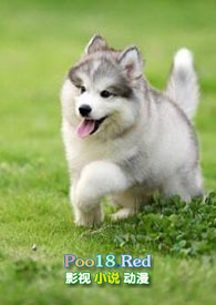 С�̹�������H��