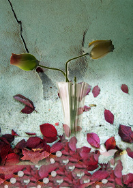 һ�����꣨GL��