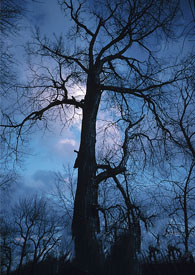 ���̼����������������������