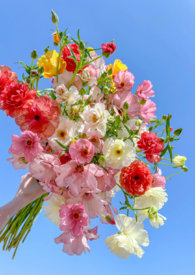 ����һ�������Ļ������ùǿ�h��