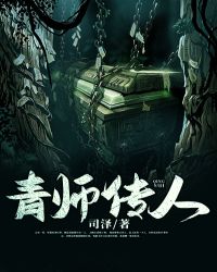 ��ʦ����