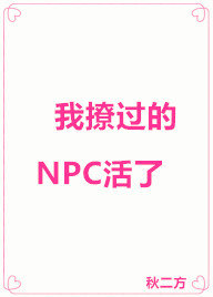 ���ù���NPC����