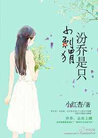 ������ֻС���